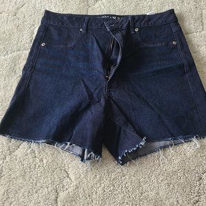 AE Super Stretch Jean Shorts